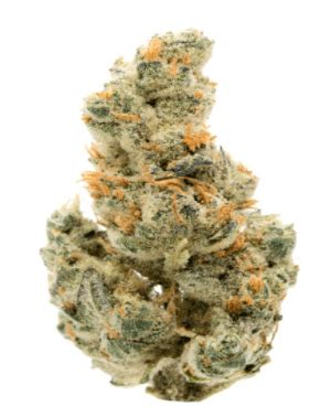 Cannabis Strain of the Week: GMO | Santa Barbara, Goleta, Redwood City, Hanford, CA | HerbNJoy