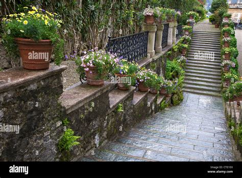 Isola Bella Palace Gardens, Borromean Islands, Lake Maggiore, Piedmont, Northern Italy, Europe ...