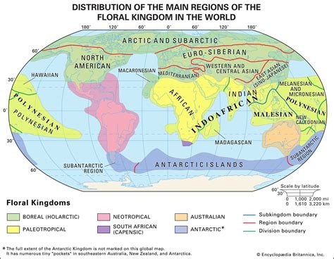 Branches of Geography - Mind Map