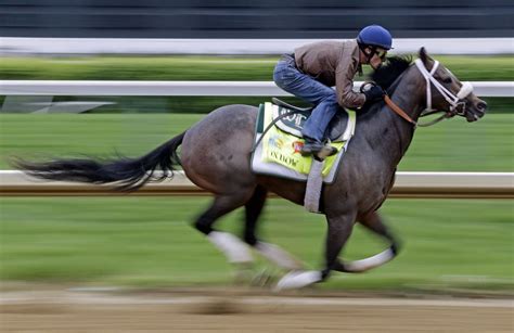 Gary Stevens and Oxbow getting ready for the 2013 Kentucky Derby Race ...