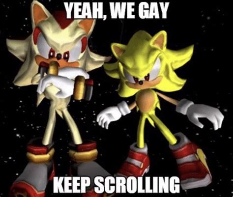 Shadow The Hedgehog, Sonic The Hedgehog, Stupid Funny Memes, Hilarious ...