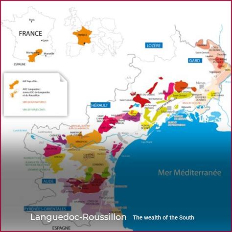 Languedoc-Roussillon | wein.plus Wine Magazine