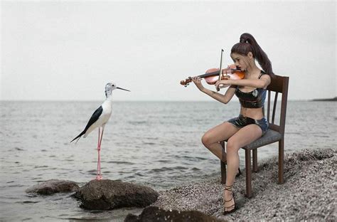 Do Birds Like Music? Can They Dance?