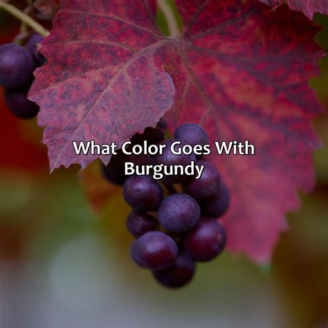 What Color Goes With Burgundy - colorscombo.com