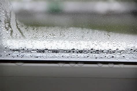 How to Prevent Condensation on Windows | Omni Glass and Paint