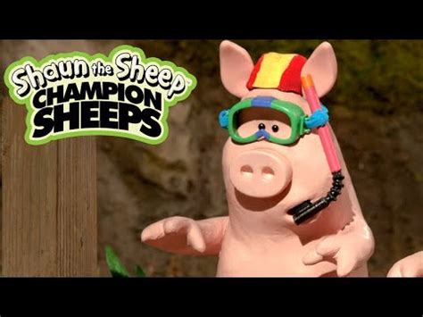 Shaun the Sheep - Championsheeps - Swimming (OFFICIAL VIDEO) - YouTube