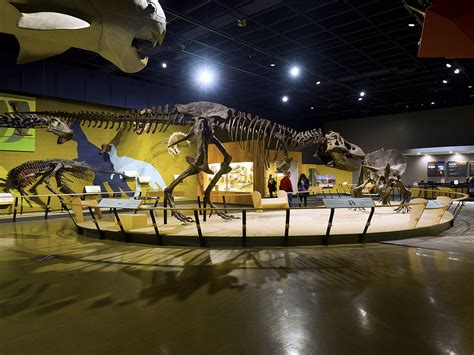 Cleveland Museum of Natural History 01-18-2019 125 - Dinos… | Flickr