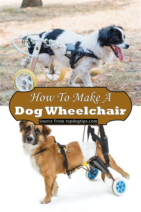 DIY Dog Wheelchair Plans & Tutorials for Mobility-Challenged Dogs