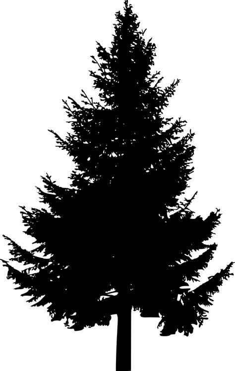 Pine Tree Silhouette, Silhouette Clip Art, Tree Clipart, Tree Stamp ...