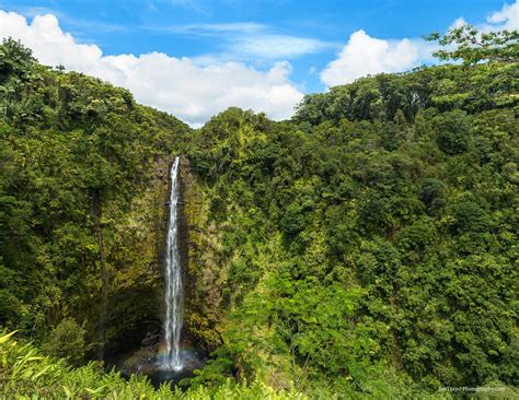 Hawaii - Akaka Falls - Jim Tarpo Photography