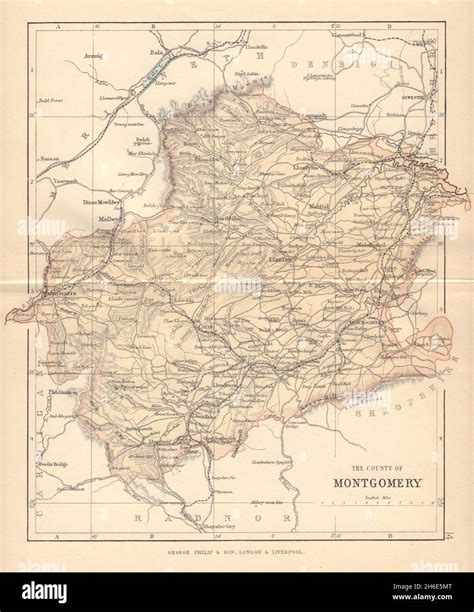 MONTGOMERYSHIRE "County of Montgomery" Welshpool Wales BARTHOLOMEW 1885 ...