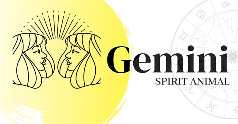 Gemini Spirit Animal | 5 Spirit Animals That Embody Gemini Sign