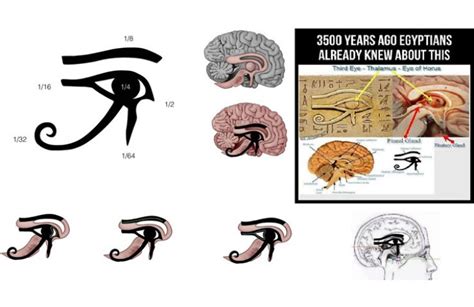 Eye Of Ra Vs Eye Of Horus: Understanding The Difference - A Journey ...