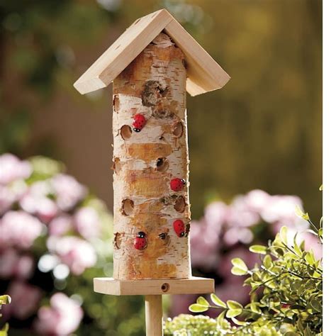 Ladybug Habitat | Ladybug, Habitats, Garden art