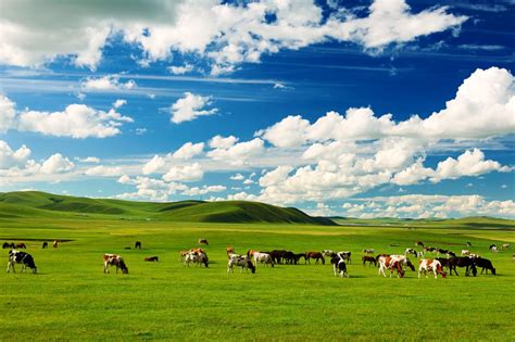 It's time for you to visit Inner Mongolia! | Expats Holidays