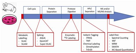 Chapter 5: Modern techniques in quantitative proteomics | Bioanalysis Zone