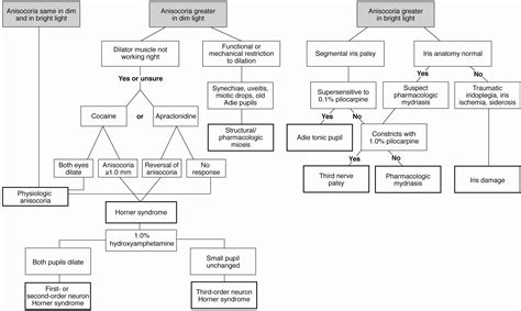 Anisocoria evaluation - American Academy of Ophthalmology