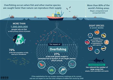 Overfishing | Fish activities, Science projects, Infographic