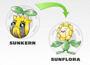 Pokemon Evolução: Evolução Sunkern