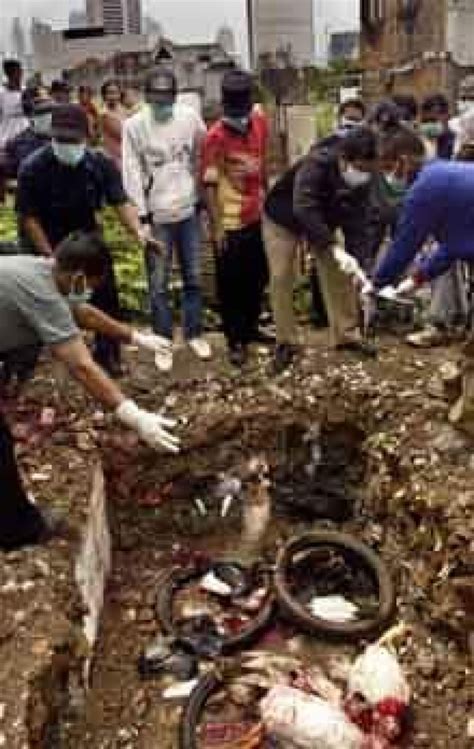 Indonesia, WHO to end bird flu dispute | CBC News