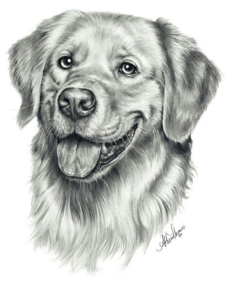 Portrait of my dog that I Made this week... what you guys think ...