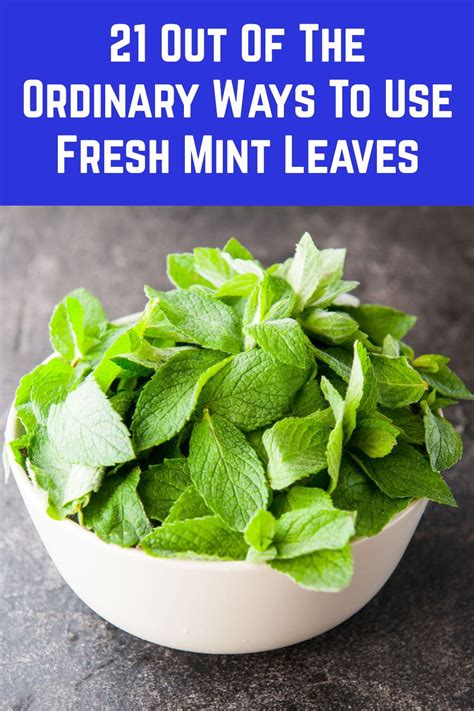 21 Out Of The Ordinary Ways To Use Fresh Mint Leaves | Fresh mint leaves, Herbs, Mint leaves