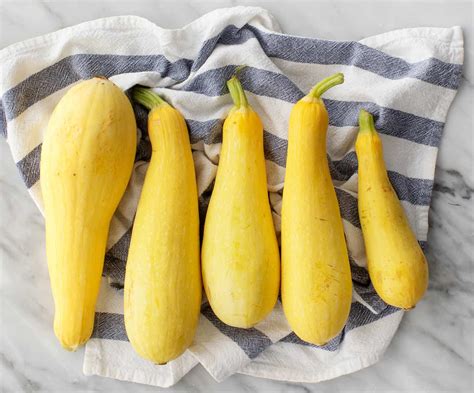 Ww Yellow Squash Recipes - Find Vegetarian Recipes