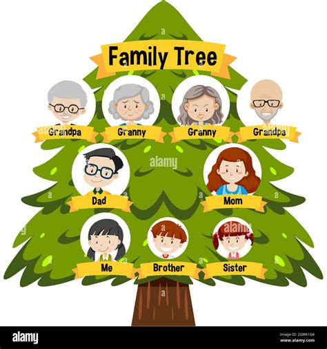 Diagram showing three generation family tree Stock Vector Image & Art ...