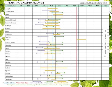 When to Start Seeds: Garden Planting Calendars for Every Zone – Gardzen