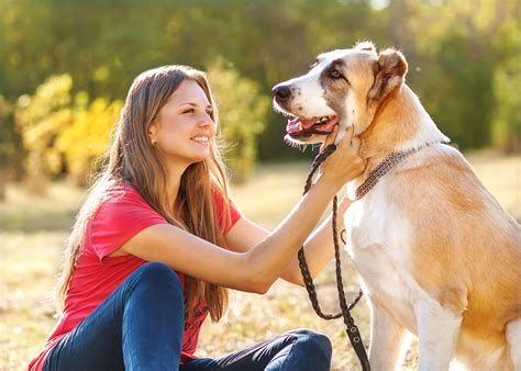 Celebrate National Dog Day: August 26, 2016