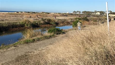 Ormond Beach cleanup wraps up, makes way for bird nesting season