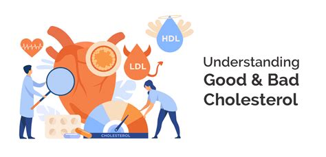 Understanding Good and Bad Cholesterol | Nh Assurance