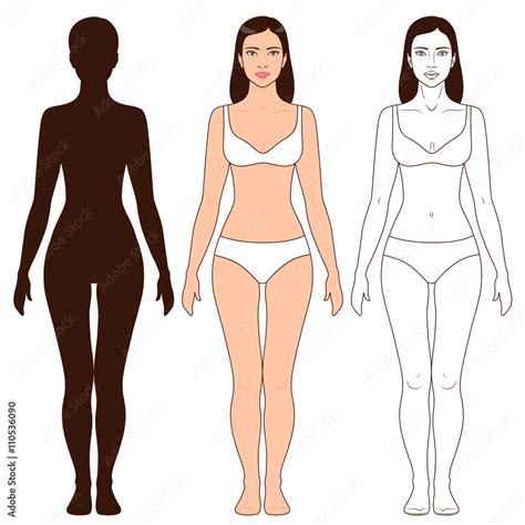 Woman Body Shape and Silhouette Template Stock Vector | Adobe Stock