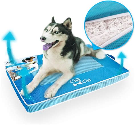 Best All For Paws Dog Cooling Mat – Get Your Home