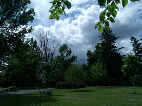 Gear Acres at Top of the Hill: You know your house looked bad when....