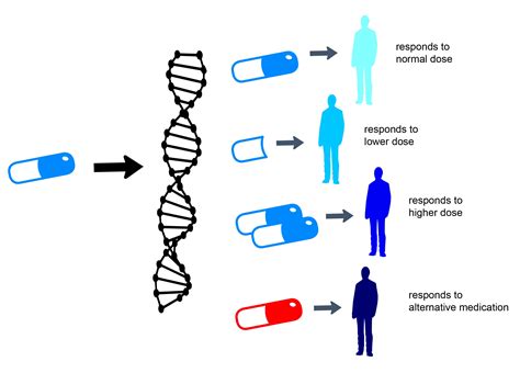 Adhd Genetic Testing For Medication