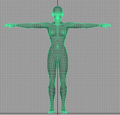 Human 3D Model Maya Free Download