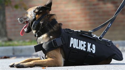 K-9 Unit | MiamiSchoolsPD.com