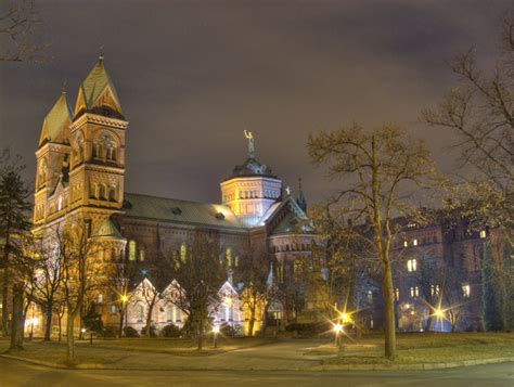 plant, katowice, religion, street, the basilica, belief, tree, city, 2K, illuminated ...