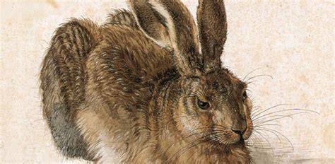 Young Hare by Albrecht Dürer - galleryIntell