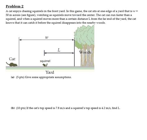 Solved Problem 2 A cat enjoys chasing squirrels in the front | Chegg.com