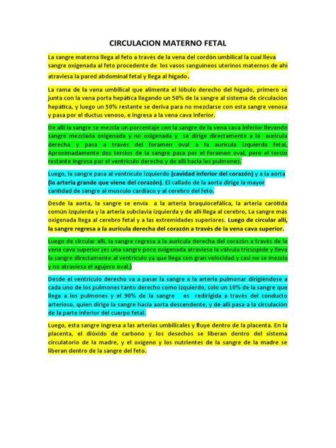 CIRCULACION MATERNO FETAL - Resumen | PDF | Feto | Sistema circulatorio