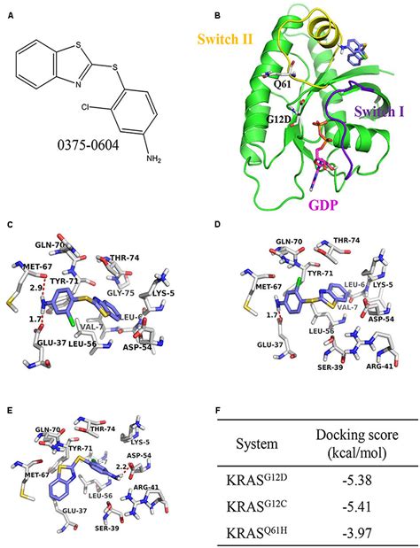 Frontiers | Identification of a New Potent Inhibitor Targeting KRAS in ...