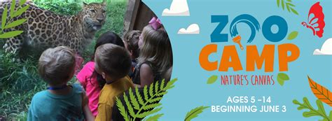 Summer Zoo Camp 2024 | Greenville Zoo, SC