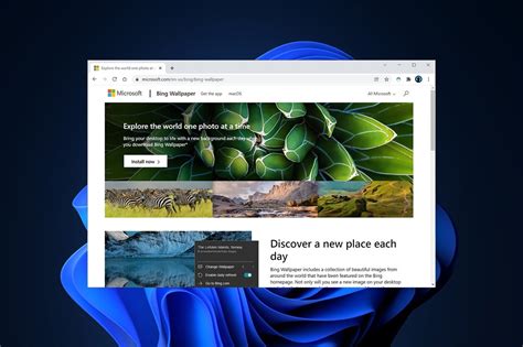 How to Download and Install Bing Wallpaper for Windows 11 – TechCult