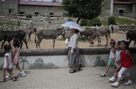 The newly renovated North Korean national zoo has a surprising exhibit ...