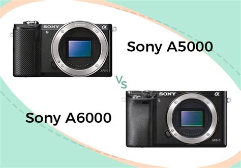 Sony a5000 vs a6000 | Camera Comparison (UPDATED)