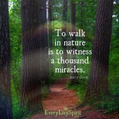 To walk in nature is to witness a thousand miracles | Nature quotes ...