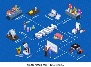 Stem Education Isometric Flowchart Human Characters Stock Vector (Royalty Free) 1263180559