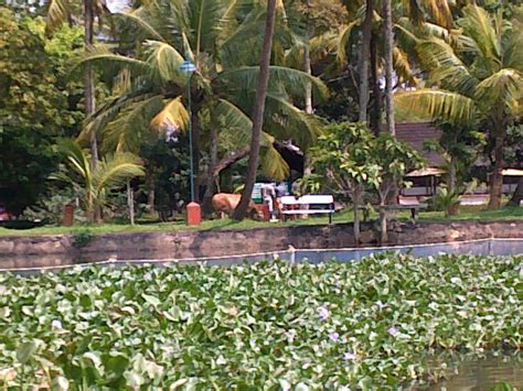 Kumarakom - Backwaters of Kerala 1